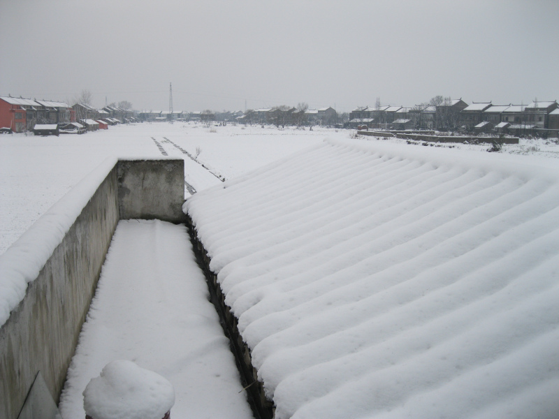 雪中的刘茂甫与刘会英对望