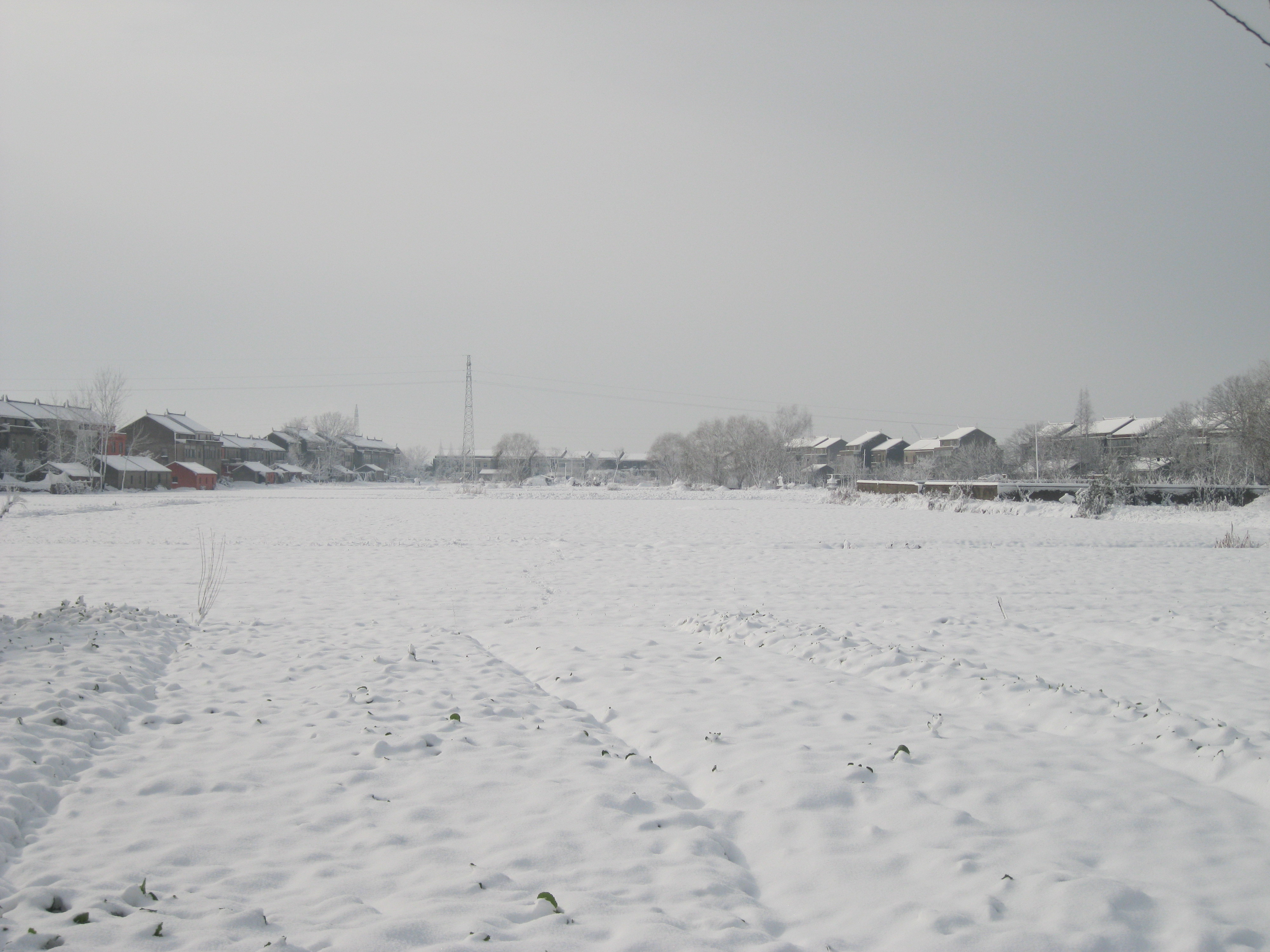 雪中的刘茂甫与刘会英对望